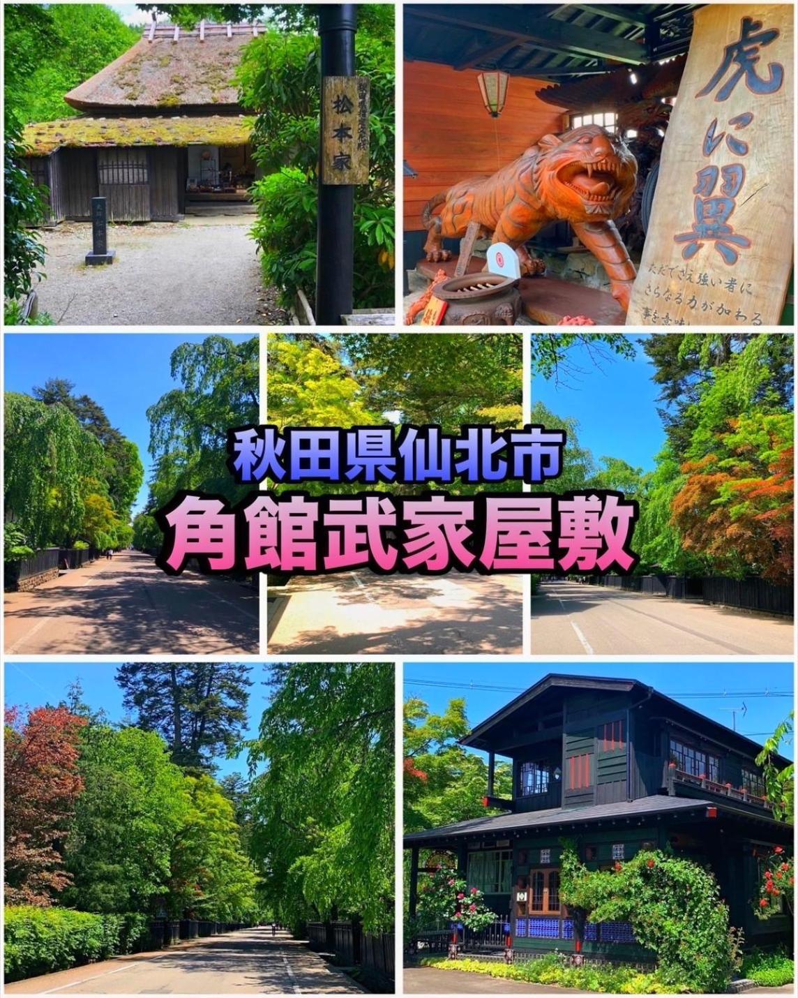 Hotel Dolphia-Adult Only Daisen  Exteriör bild